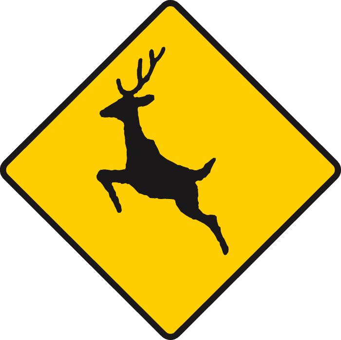 Deer or wild animals ahead.